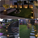 Solar LED Garden Lights